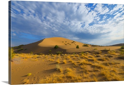 Singing Dunes, Altyn-Emel National Park, Almaty region, Kazakhstan