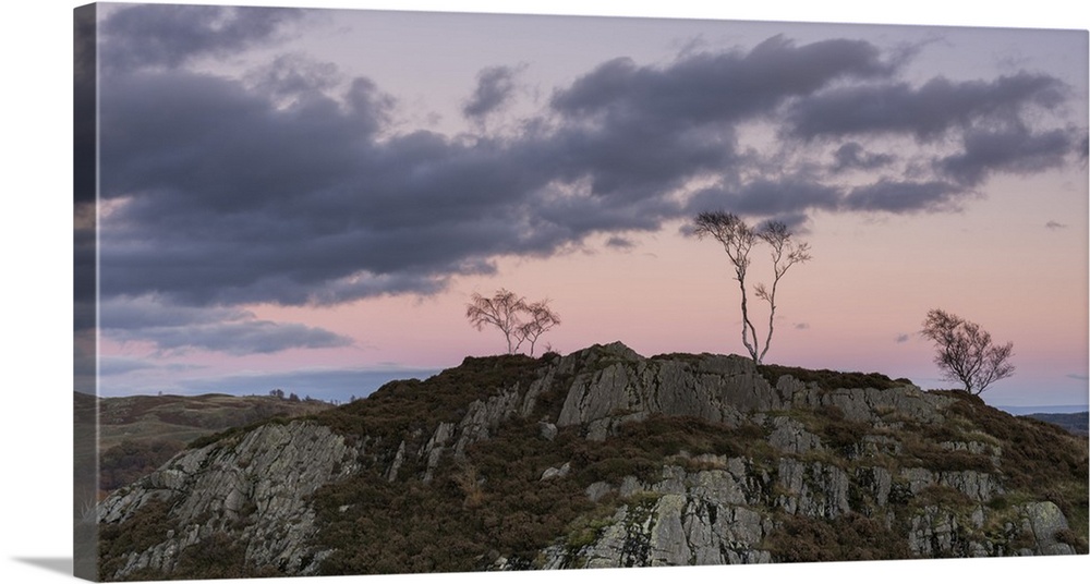 Skeletal trees atop crags at twilight at Holme Fell, Lake District National Park, Cumbria, England