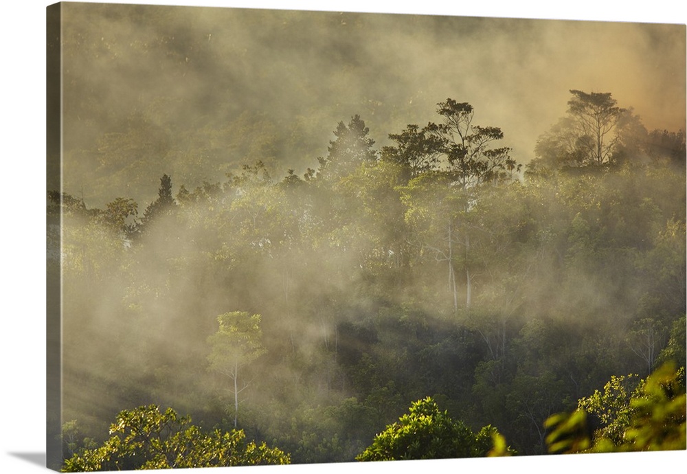 Smoke from a fire drifts across rainforest, near San Juan, Siquijor, Philippines, Southeast Asia, Asia