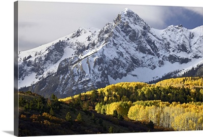 Sneffels Range with aspens in fall colors, near Ouray, Colorado