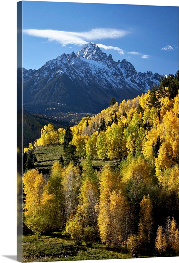 Sneffels Range with fall colors, Uncompahgre National Forest, Colorado