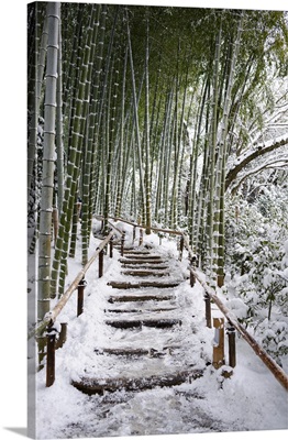 Snowy path in bamboo forest, Kodai-ji temple, Kyoto, Japan