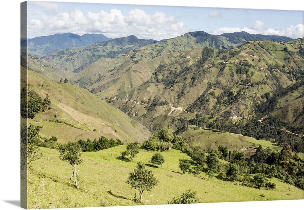 Southern highlands near Saraguro, Ecuador, South America