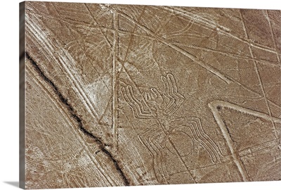 Spider, Lines and Geoglyphs of Nasca, Peru, South America