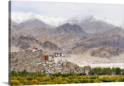 Spituk Monastery In Leh District, Indus River Valley, India