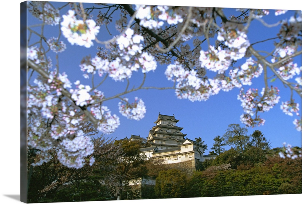 Spring blossom and Himeji Castle Himeji, west Honshu, Japan, Asia