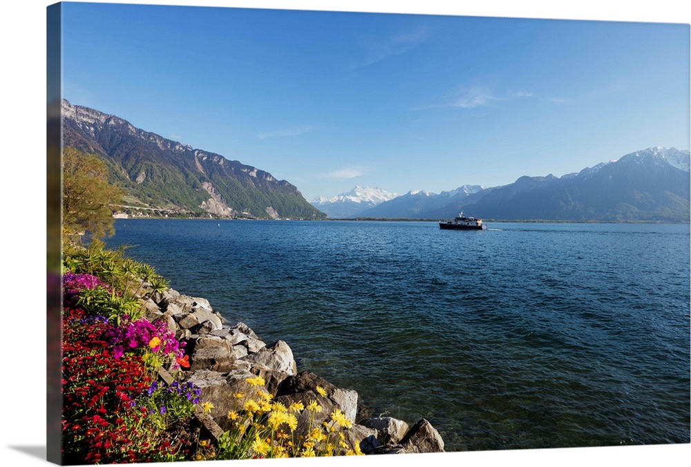 Spring flowers, Lake Geneva (Lac Leman), Montreux, Vaud, Switzerland, Europe