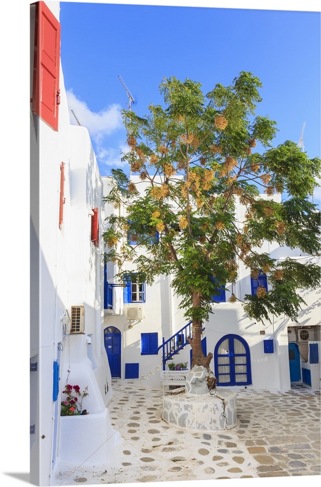 Square with blossoming tree, whitewashed buildings, blue sky, Mykonos Town, Mykonos, Cyclades, Greek Islands, Greece