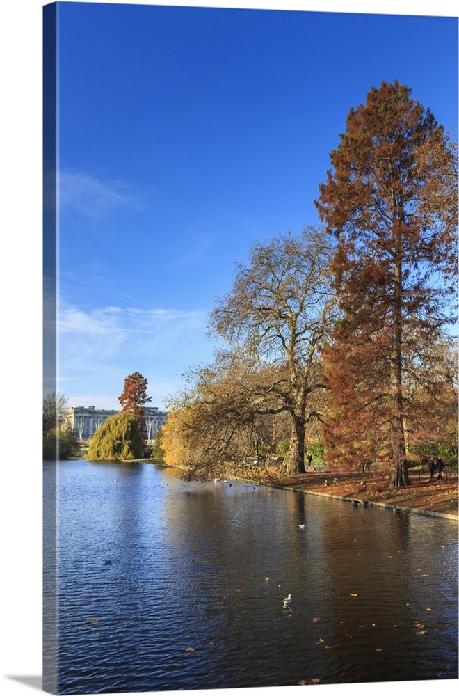 St. James's Park, with view across lake to Buckingham Palace, sunny late autumn, Whitehall, London, England, United Kingdo...