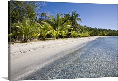 Star Beach, Colon Island (Isla Colon), Bocas del Toro Province, Panama, Central America