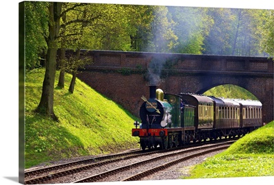 Steam train on Bluebell Railway, Horsted Keynes, West Sussex, England, UK