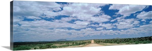 Straight gravel road cutting across grassy plain near Windhoek, Namibia image thumbnail