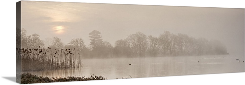 Sunrise at The Great Lake, Castle Howard, North Yorkshire, Yorkshire, England