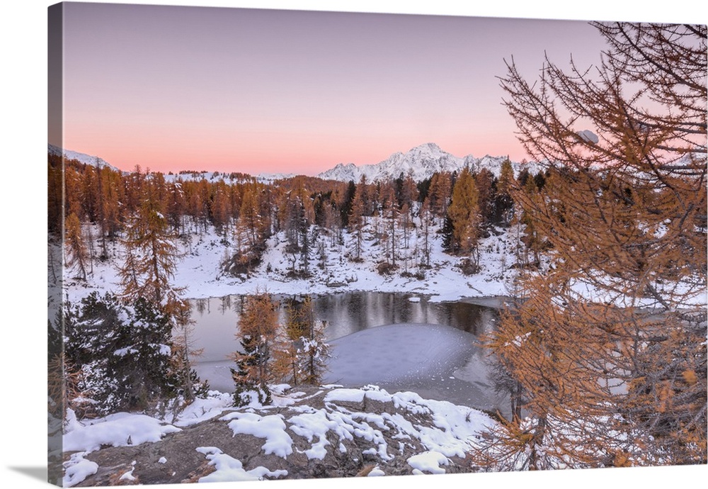 Pink sky at sunrise frames the frozen Lake Mufule surrounded by woods, Malenco Valley, Province of Sondrio, Valtellina, Lo...