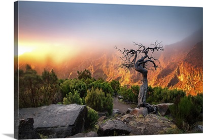 Sunrise In The Mountains Between Pico Do Arieiro And Pico Ruivo, Madeira, Portugal