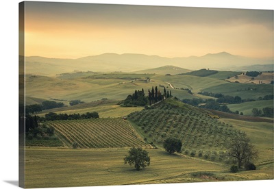 Sunrise on the gentle green hills of Val d'Orcia, Province of Siena, Tuscany, Italy