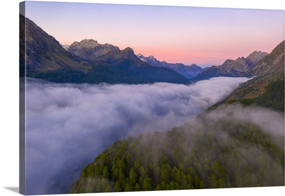 Foggy sunrise over woods of Maloja Pass at dawn, aerial view by drone, Engadine, Canton of Graubunden, Switzerland, Europe