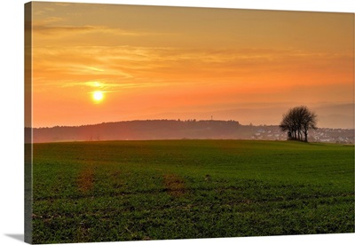 Sunset and field, Rhineland-Palatinate, Germany