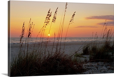 Sunset, Gulf Coast, Longboat Key,  Anna Maria Island, Beach, Florida