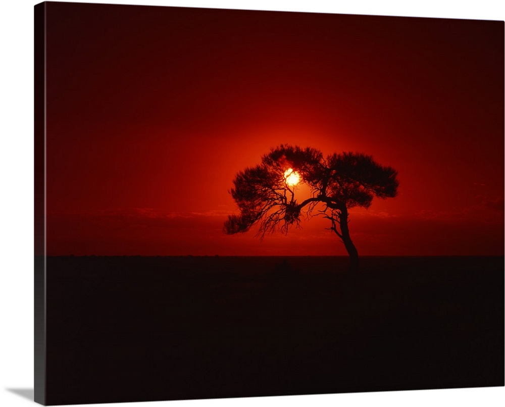 Sunset, Mundi Mundi Plains, New South Wales, Australia