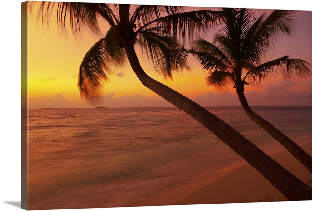 Sunset on beach, Maldives, Indian Ocean, Asia