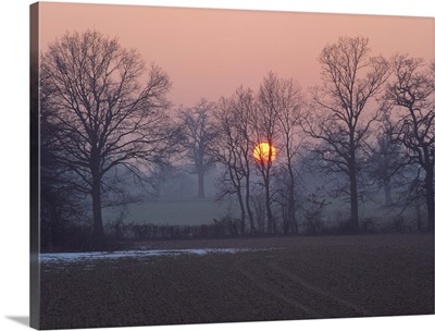 Sunset over farmland and bare trees in silhouette, Kent, England