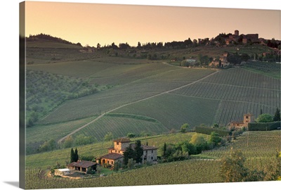 Sunset over vineyards near Panzano in Chianti, Chianti, Tuscany, Italy