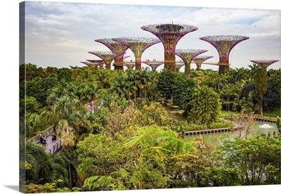 Supertrees In Gardens By The Bay, Singapore