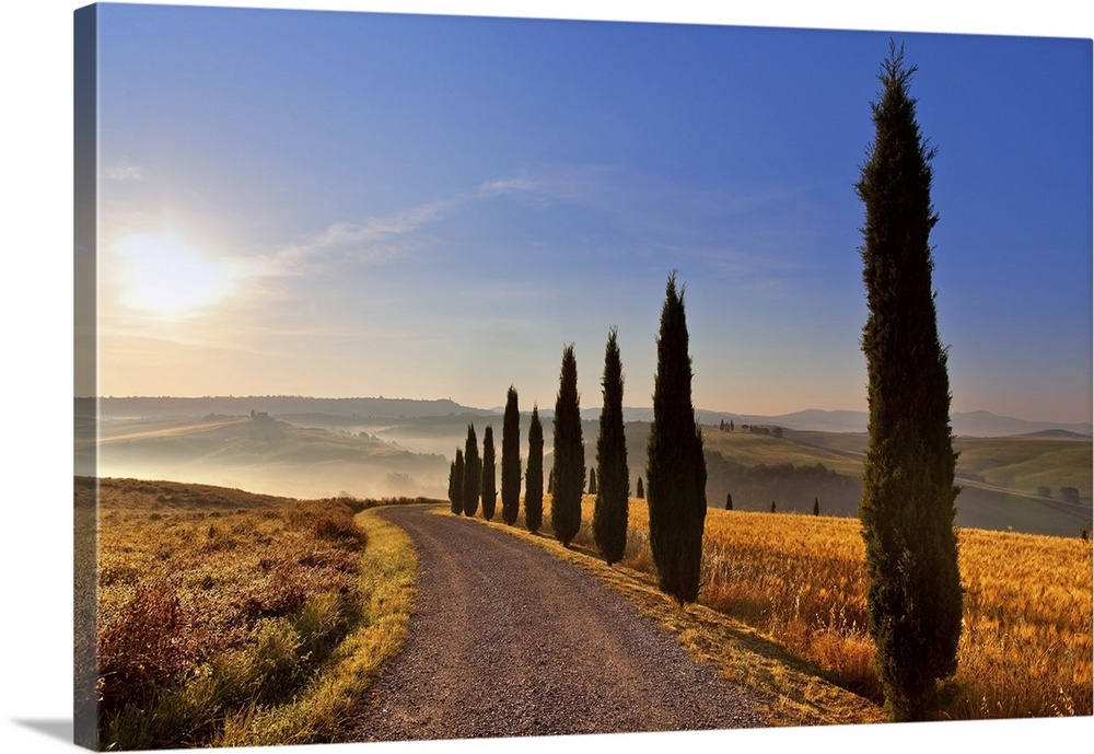 Surroundings, Pienza, Val d'Orcia, UNESCO World Heritage Site, Tuscany, Italy, europe