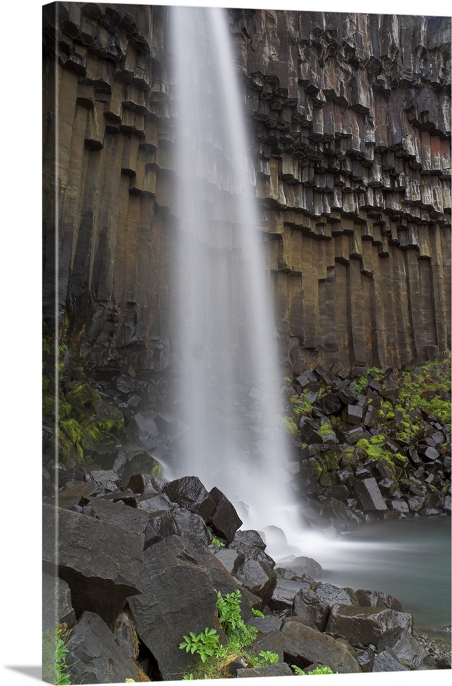 Svartifoss waterfall with basalt columns in Skaftafell National Park, Iceland