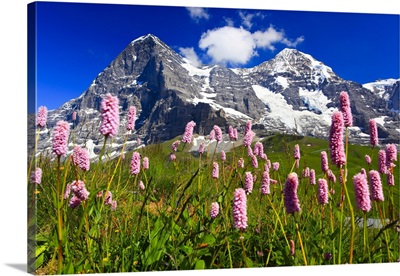 Swiss Alps, Eiger And Moench, Bernese Oberland, Switzerland