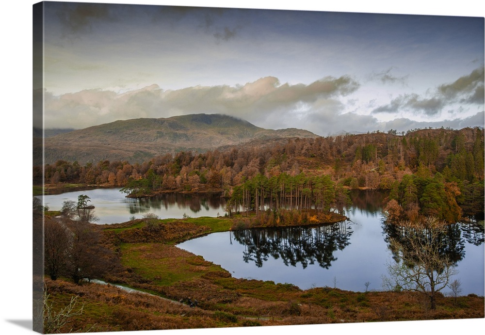 Tarn Hows at sunrise, Lake District National Park, UNESCO World Heritage Site, Cumbria, England, United Kingdom, Europe