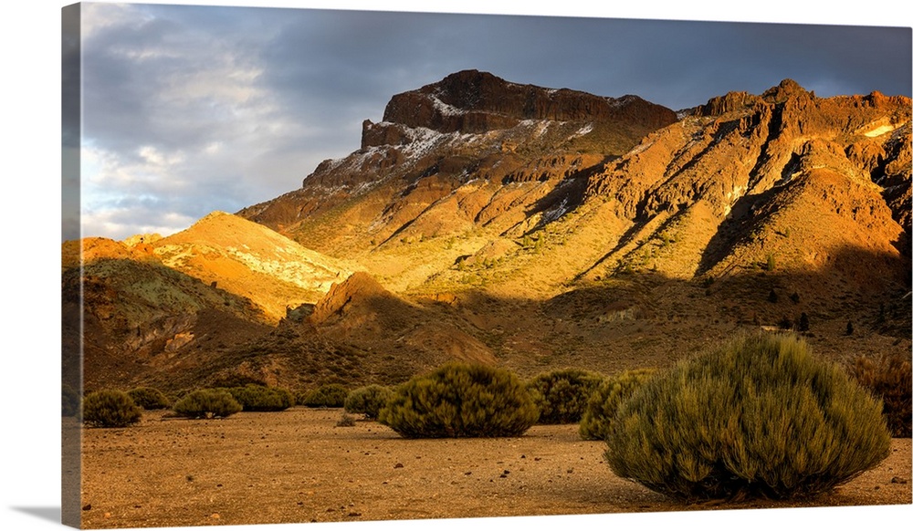 Teide National Park, Tenerife, Canary Islands, Spain