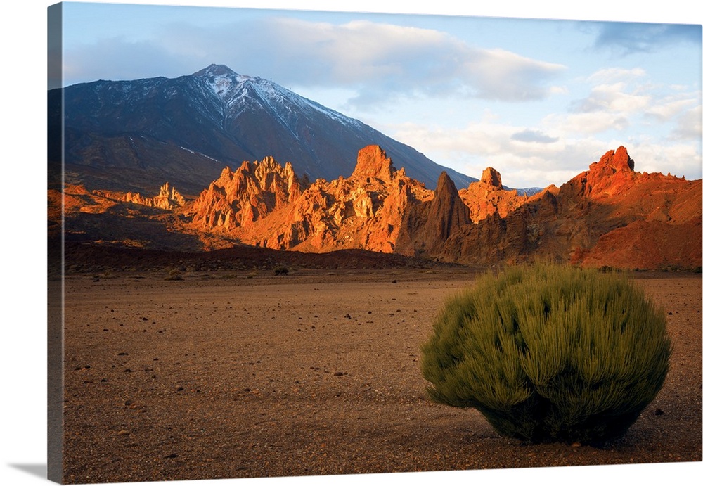 Teide National Park, Tenerife, Canary Islands, Spain