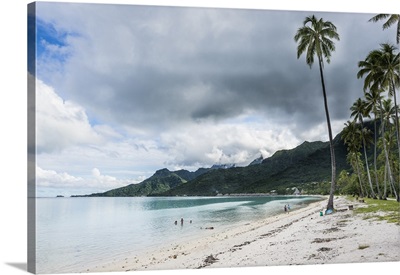 Temae public beach, Moorea, Society Islands, French Polynesia