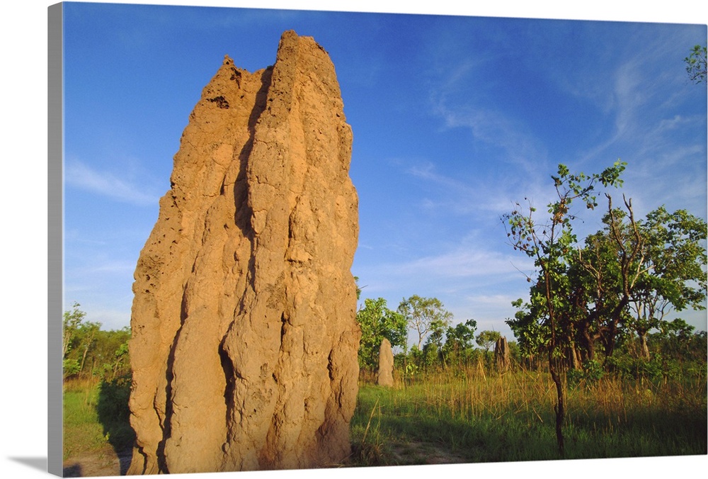 Termite 'cathedral' by the Arnhem Highway near the Mary River Crossing between Darwin and Kakadu at 'The Top End', Norther...