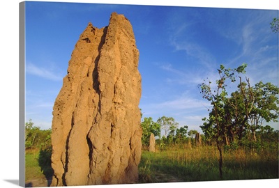 Termite cathedral by the Arnhem Highway, Northern Territory, Australia