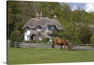 Thatched cottage and pony, New Forest, Hampshire, England, United Kingdom
