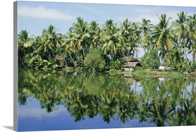 The backwaters near Kumarakom, Kerala State, India, Asia