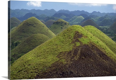 The Chocolate Hills, a famous geological curiosity, Bohol, Philippines