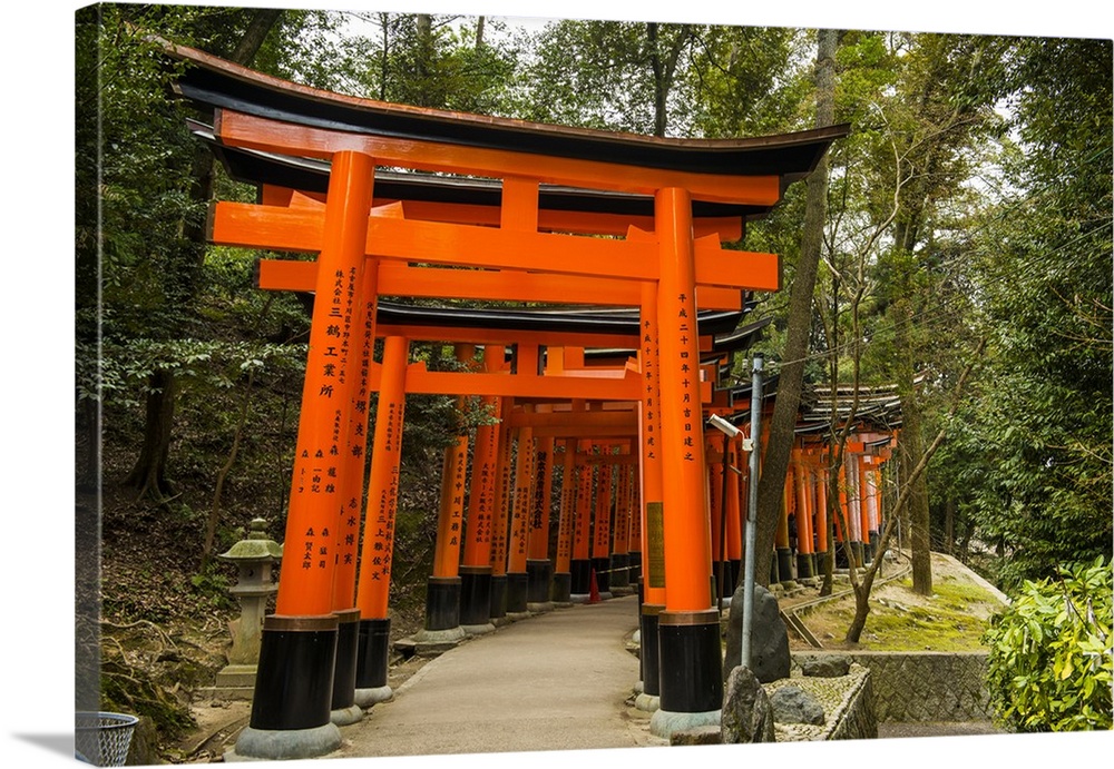 The Endless Red Gates (torii) of Kyoto's Fushimi Inari Shrine, Kyoto, Japan, Asia.