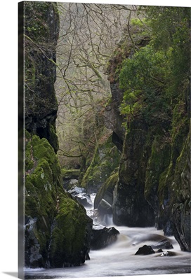 The Fairy Glen near Betws-y-Coed, Snowdonia National Park, Wales