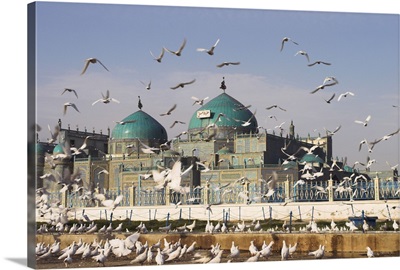 The famous white pigeons, Mazar-I-Sharif, Balkh province, Afghanistan