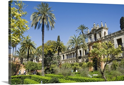 The gardens of the Real Alcazar, Santa Cruz district, Seville, Andalusia, Spain
