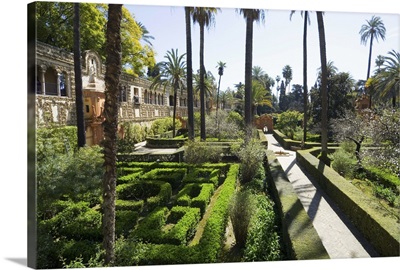 The gardens of the Real Alcazar, Santa Cruz district, Seville, Andalusia Spain