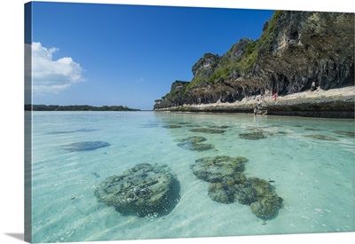 The grey Lekiny cliffs, Ouvea, Loyalty Islands, New Caledonia