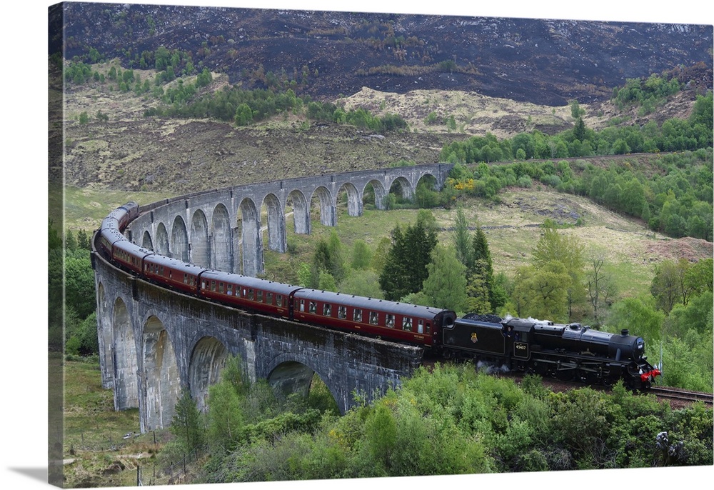 The Jacobite Express crossing Glenfinnan Viaduct, Mallaig, Highlands, Scotland, United Kingdom, Europe