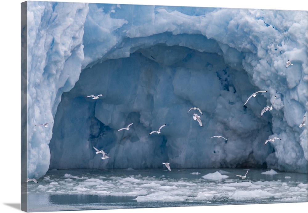 Views of the Monacobreen (Monaco Glacier), in Haakon VII Land on the island of Spitsbergen in Svalbard, Norway, Arctic, Eu...