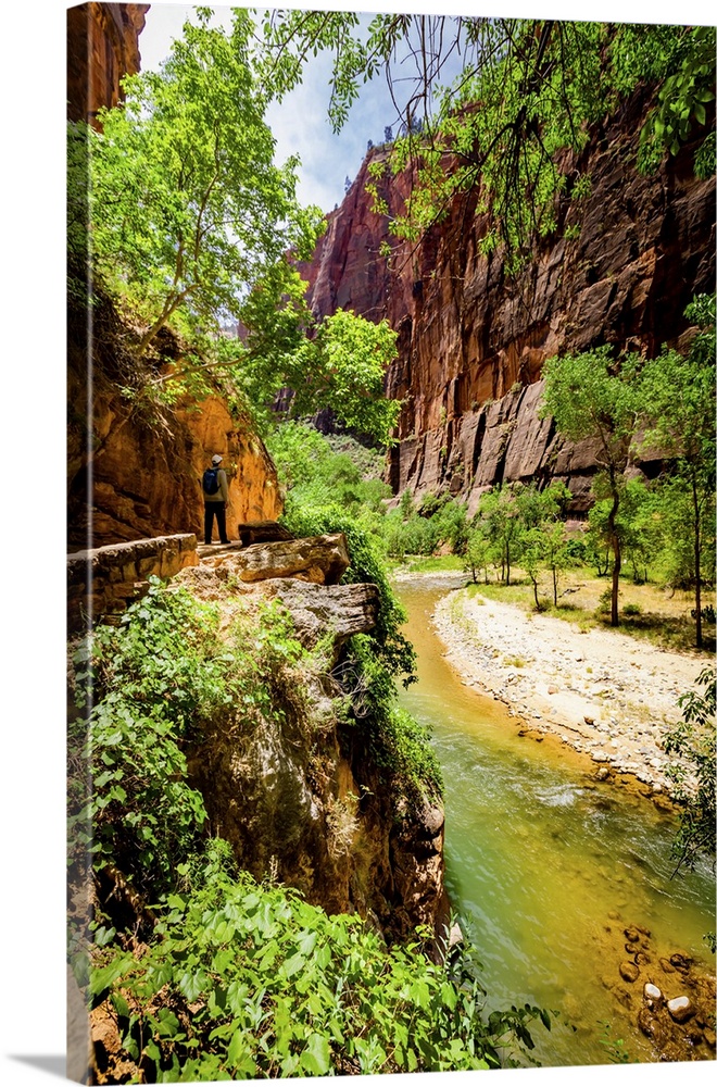 The Narrows Canyon Trail, Zion National Park, Utah, United States of America, North America