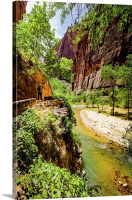 The Narrows Canyon Trail, Zion National Park, Utah, United States Of America